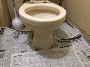 トイレの周りに新聞紙を敷きつめましょう
