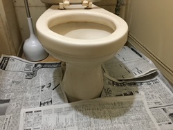 トイレの床に新聞紙などを敷きつめて下さい