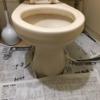トイレの床に新聞紙等を敷いて下さい
