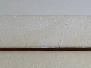 壁や天井からの水漏れ