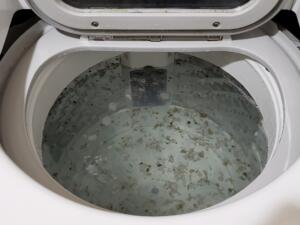 洗濯機が臭う場合は洗濯機も掃除