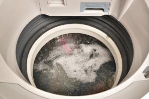 洗濯機の排水口の掃除頻度